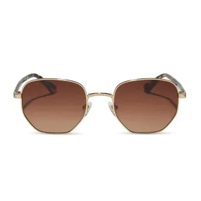 Aster Gold   Brown Gradient Sunglasses