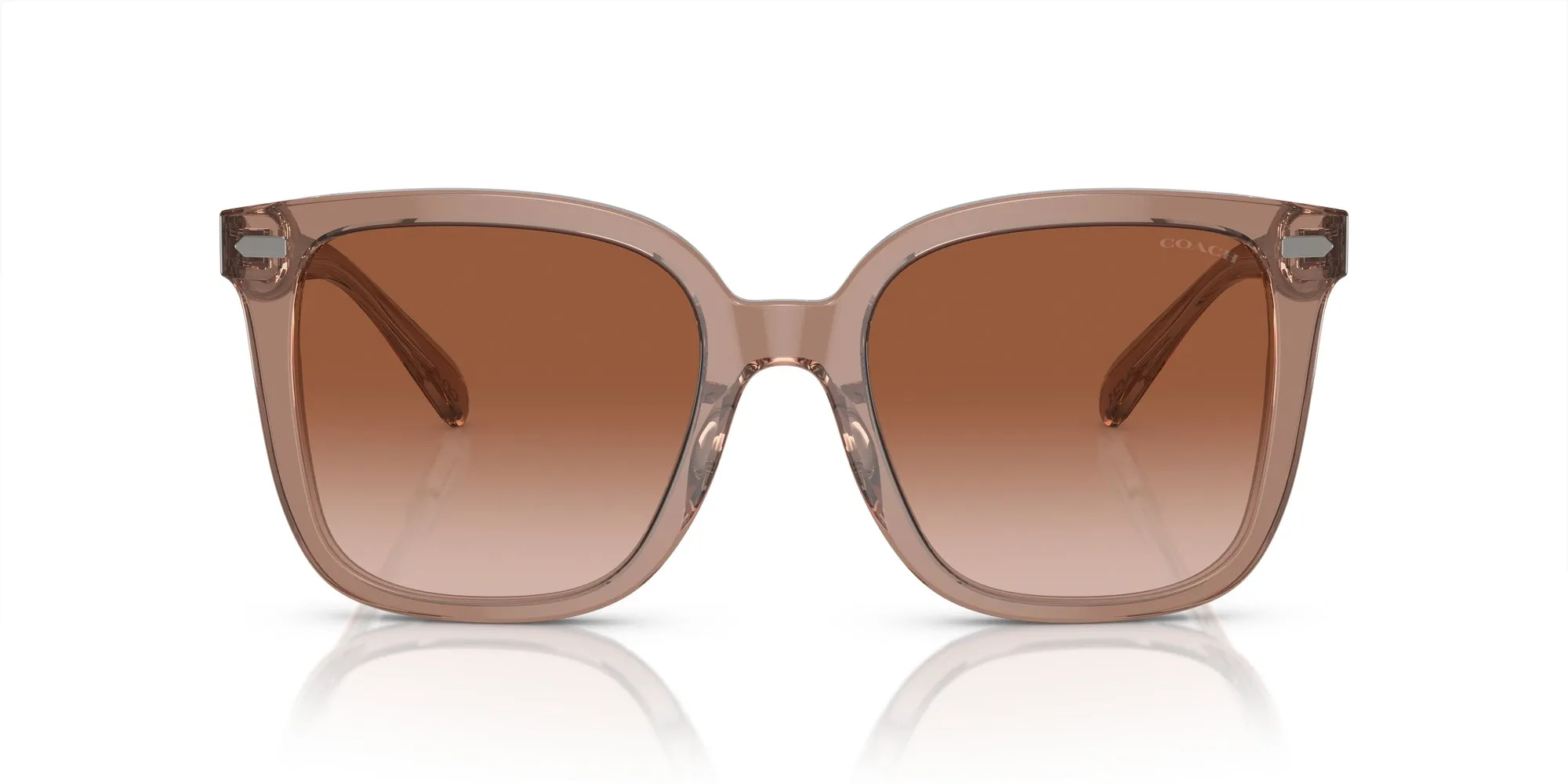 Coach HC8381U CL918 Sunglasses