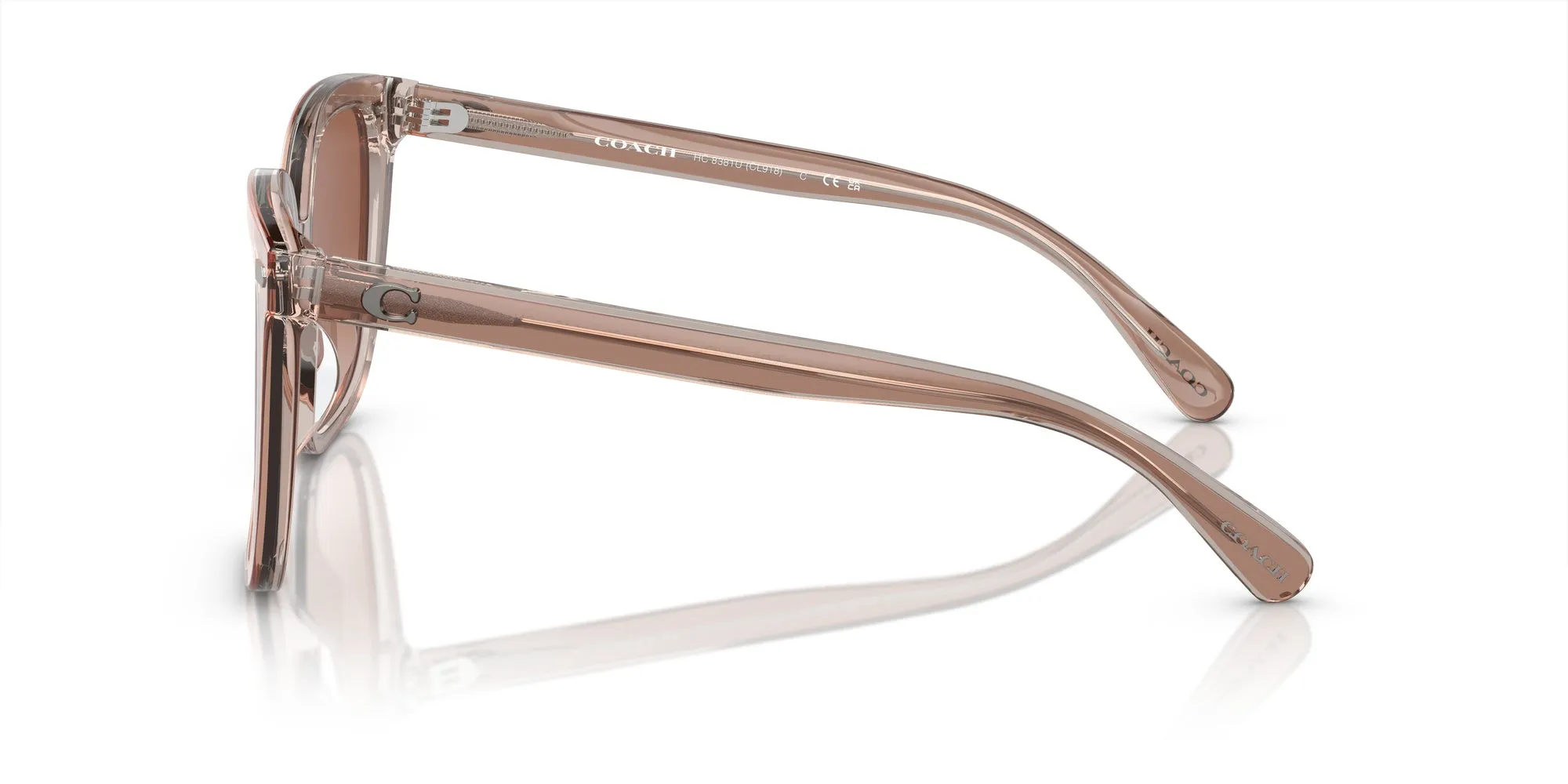 Coach HC8381U CL918 Sunglasses
