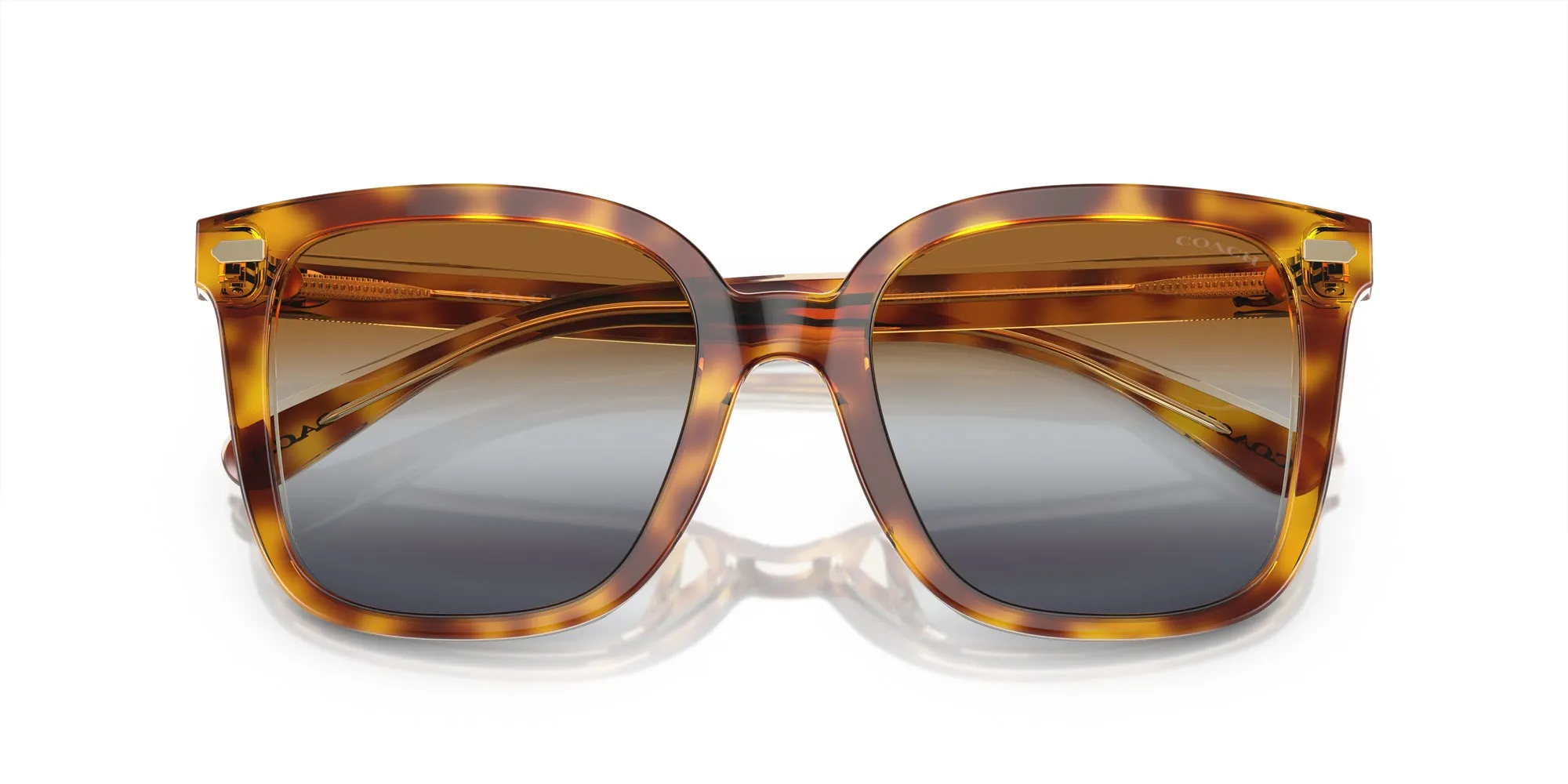 Coach HC8381U CL918 Sunglasses