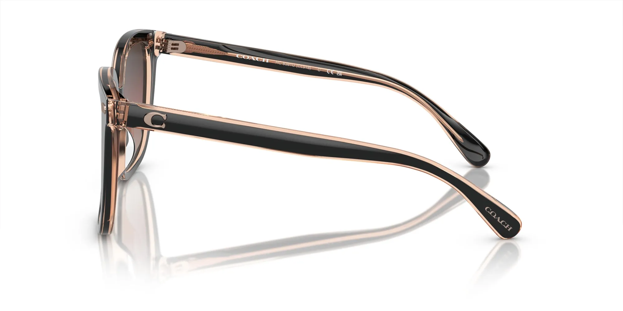 Coach HC8381U CL918 Sunglasses