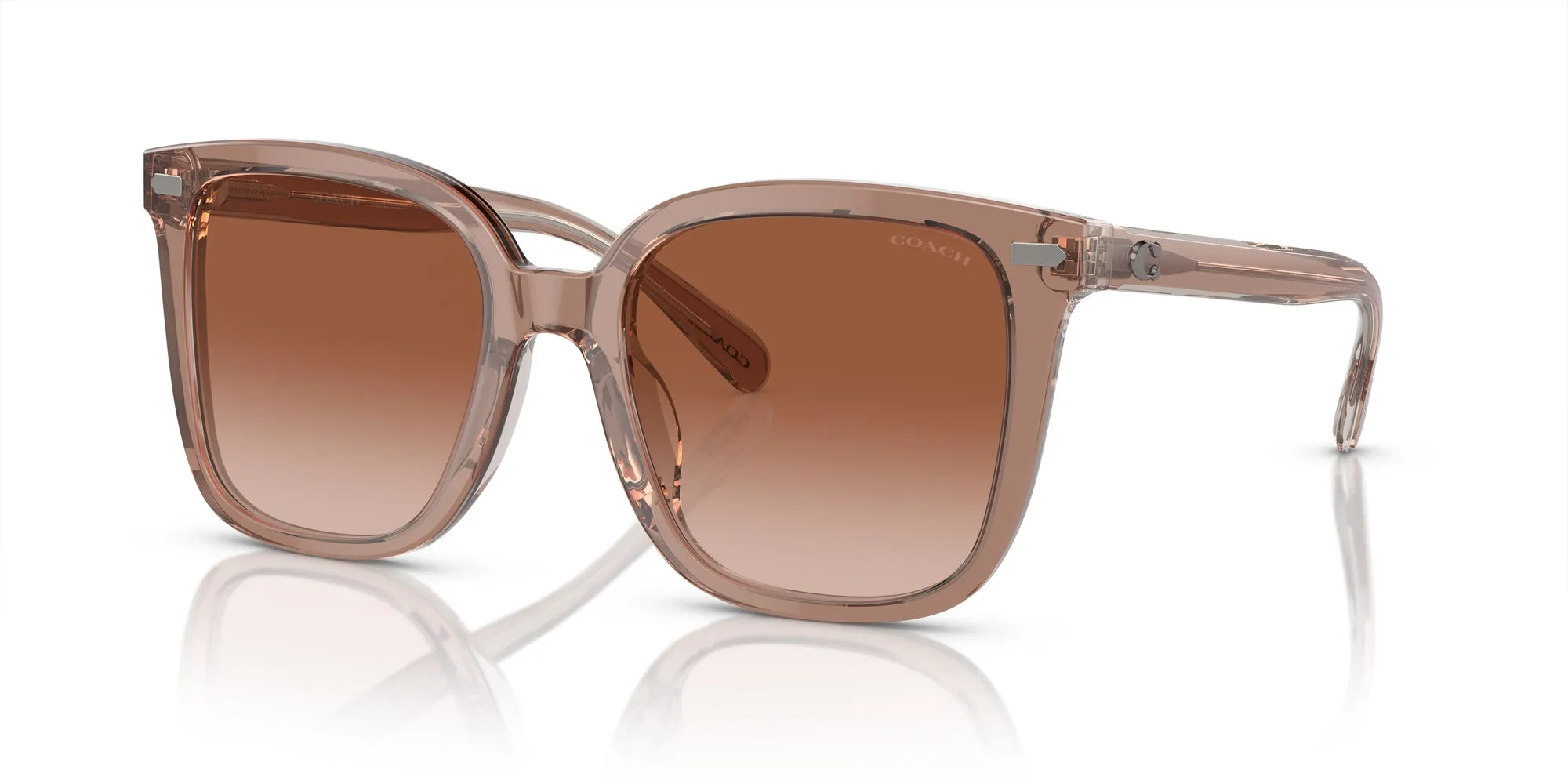 Coach HC8381U CL918 Sunglasses