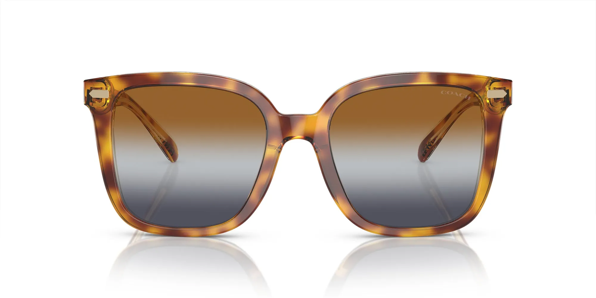 Coach HC8381U CL918 Sunglasses