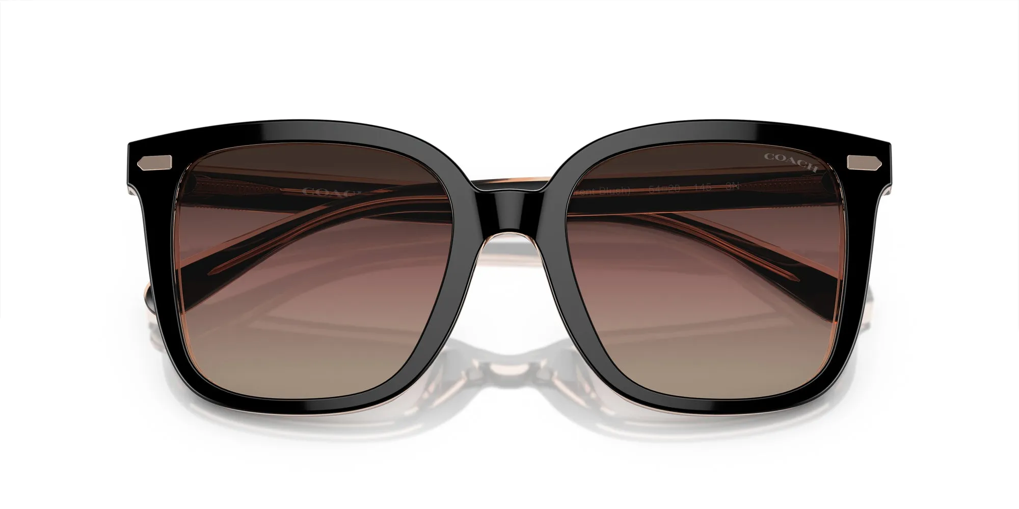 Coach HC8381U CL918 Sunglasses