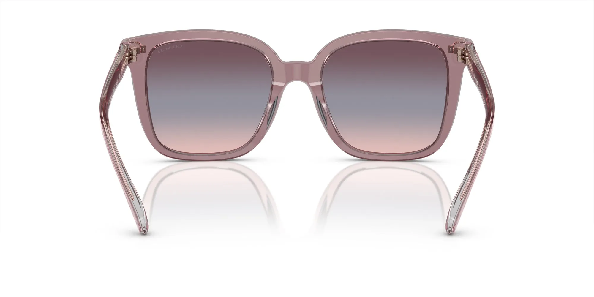 Coach HC8381U CL918 Sunglasses