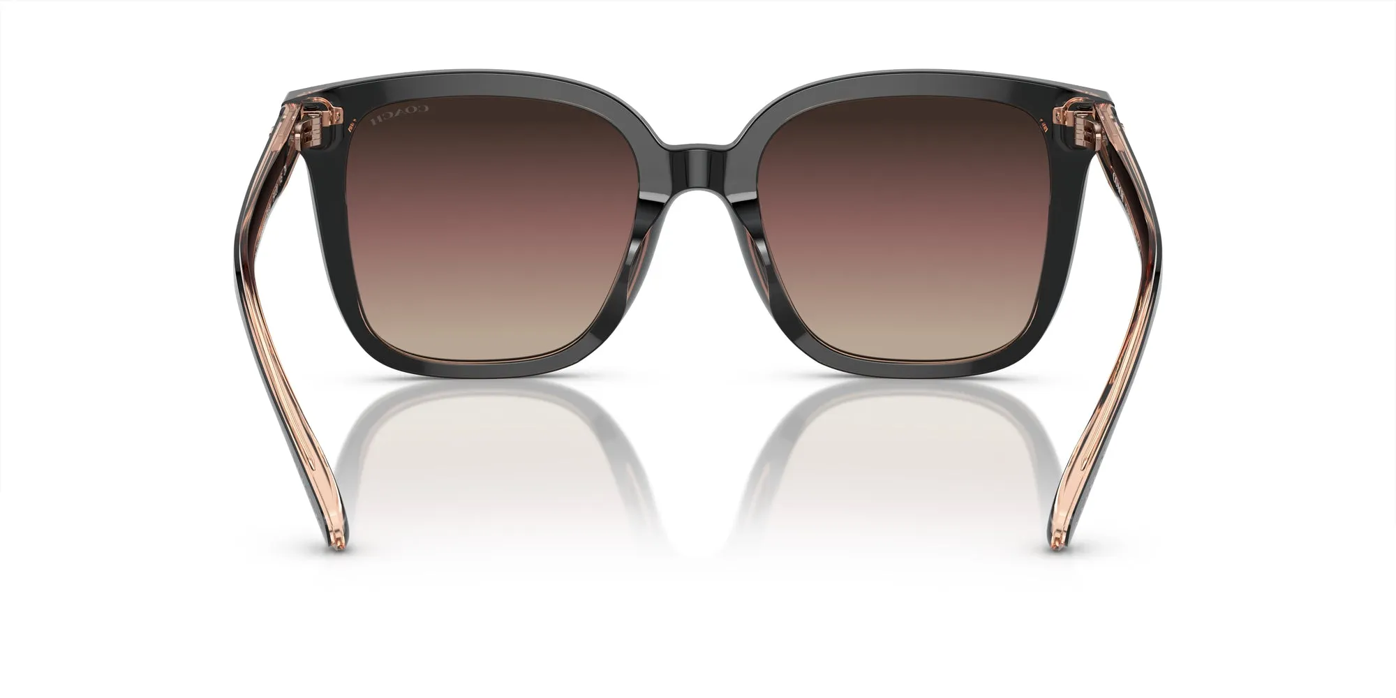 Coach HC8381U CL918 Sunglasses