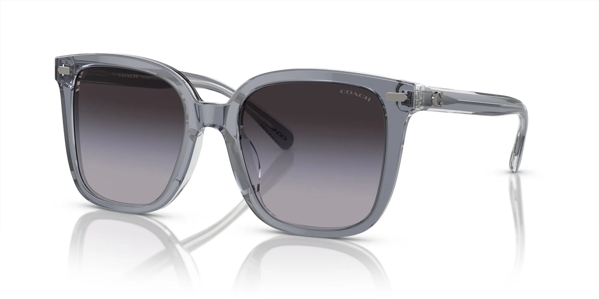 Coach HC8381U CL918 Sunglasses