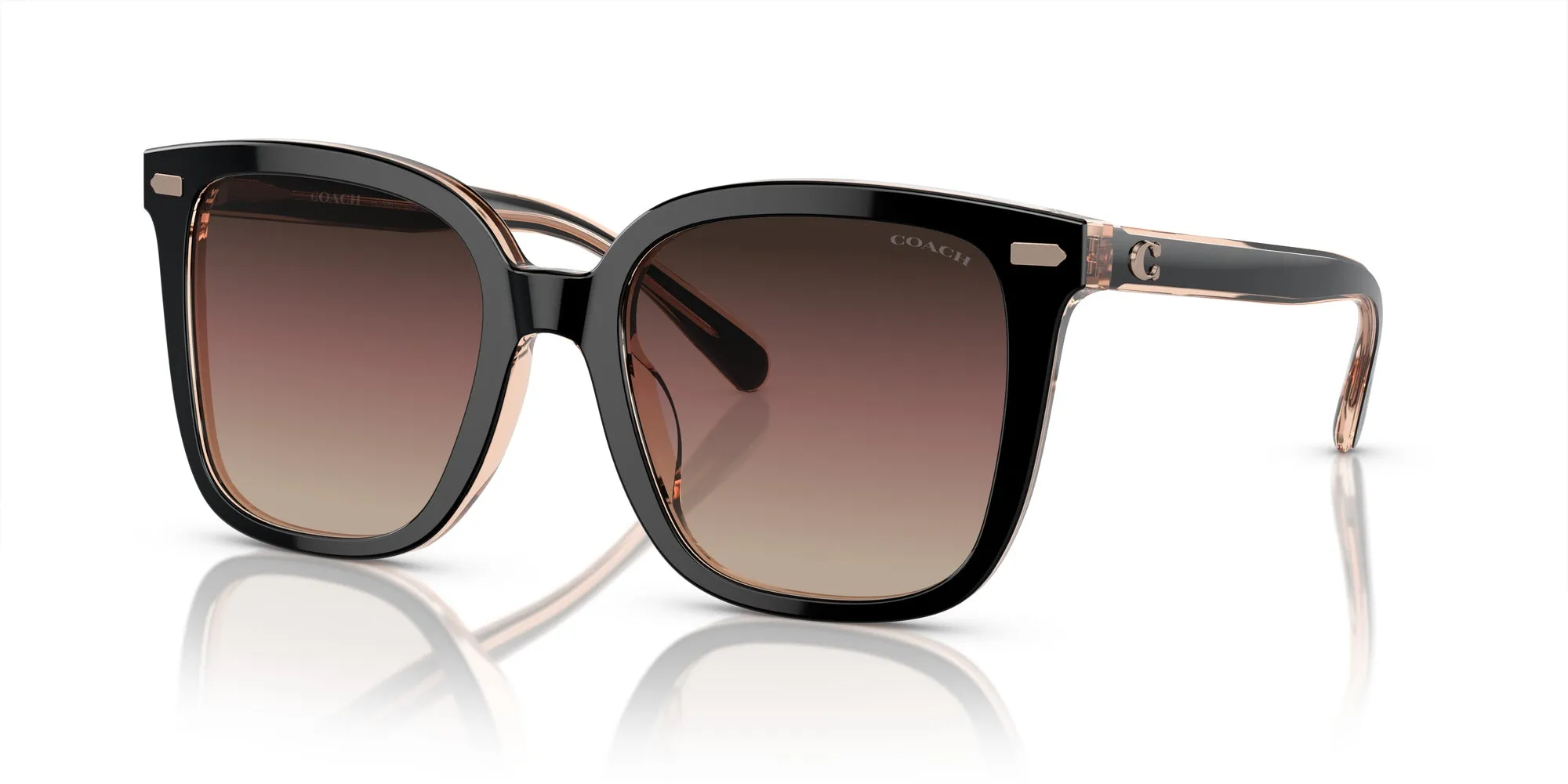Coach HC8381U CL918 Sunglasses