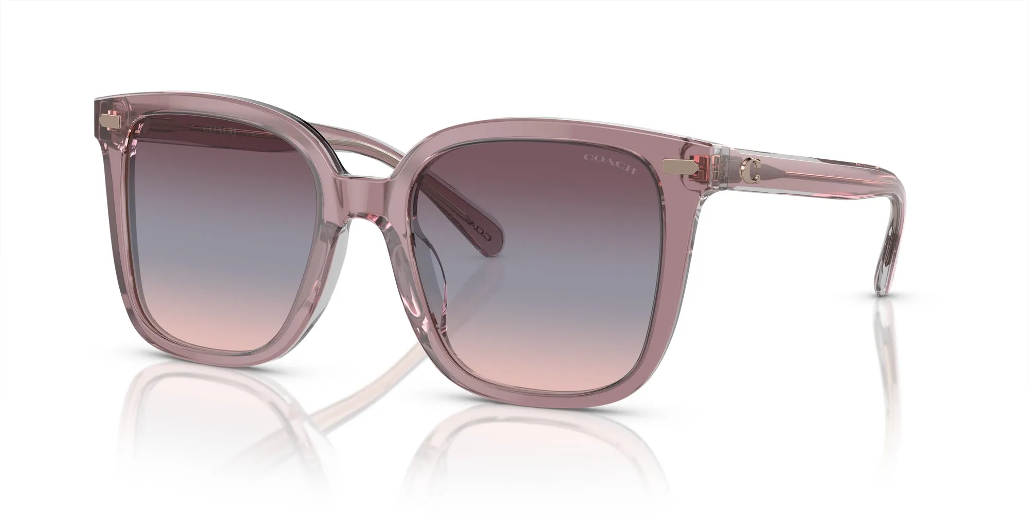 Coach HC8381U CL918 Sunglasses