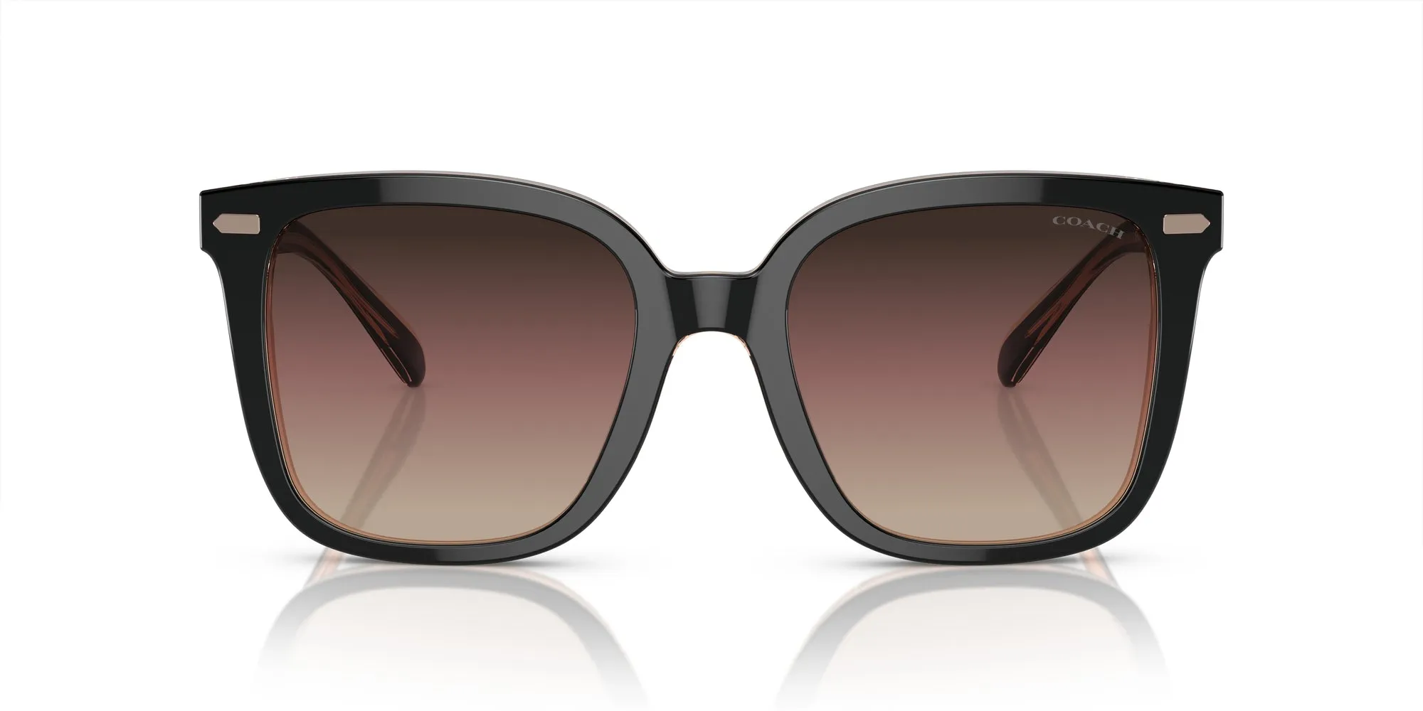 Coach HC8381U CL918 Sunglasses