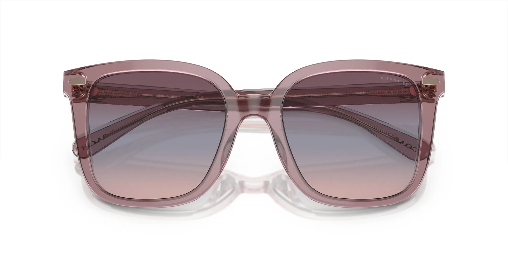 Coach HC8381U CL918 Sunglasses