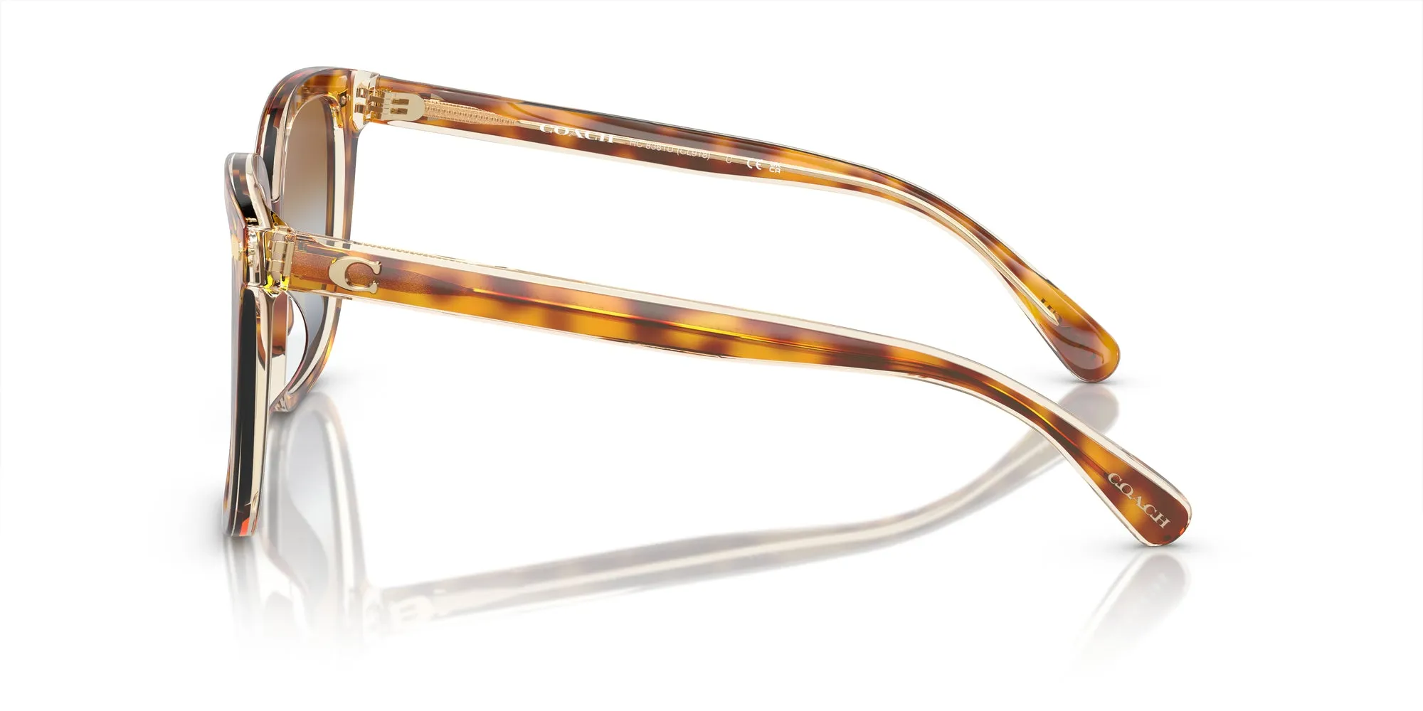 Coach HC8381U CL918 Sunglasses
