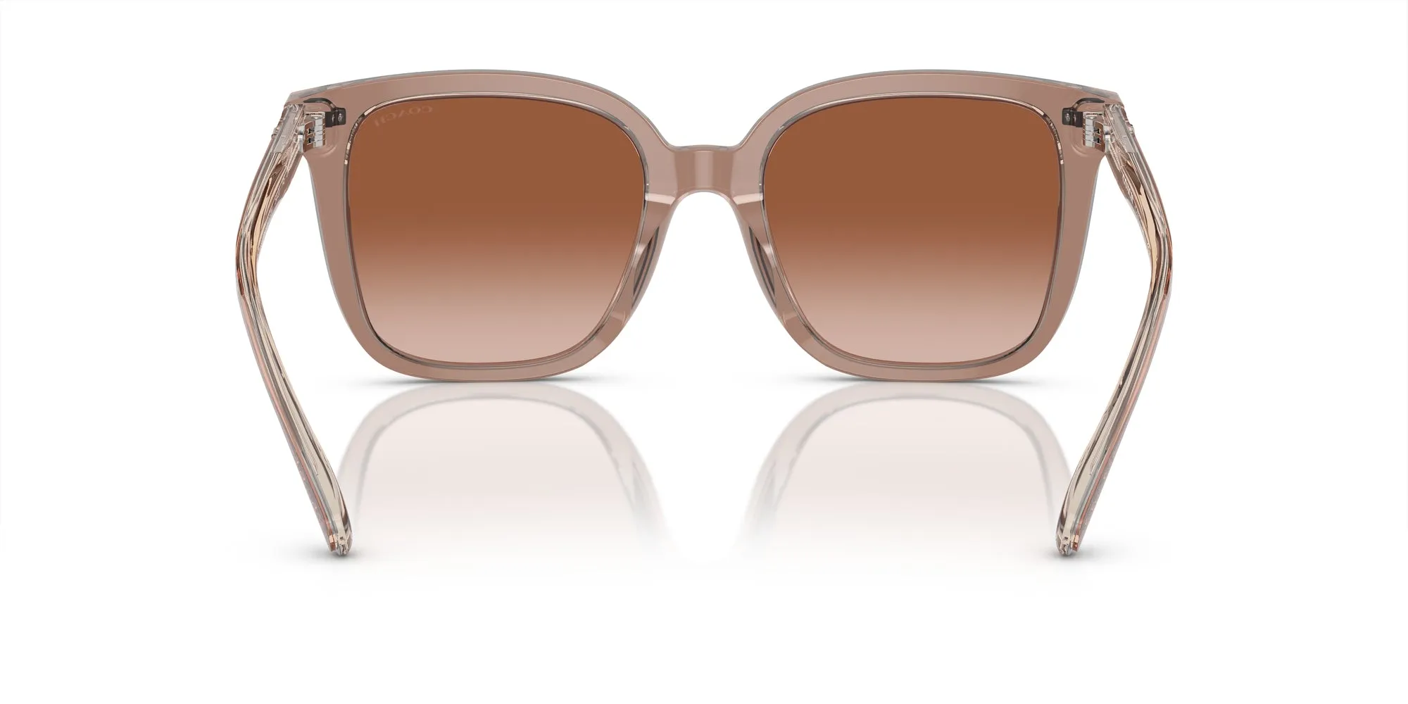 Coach HC8381U CL918 Sunglasses