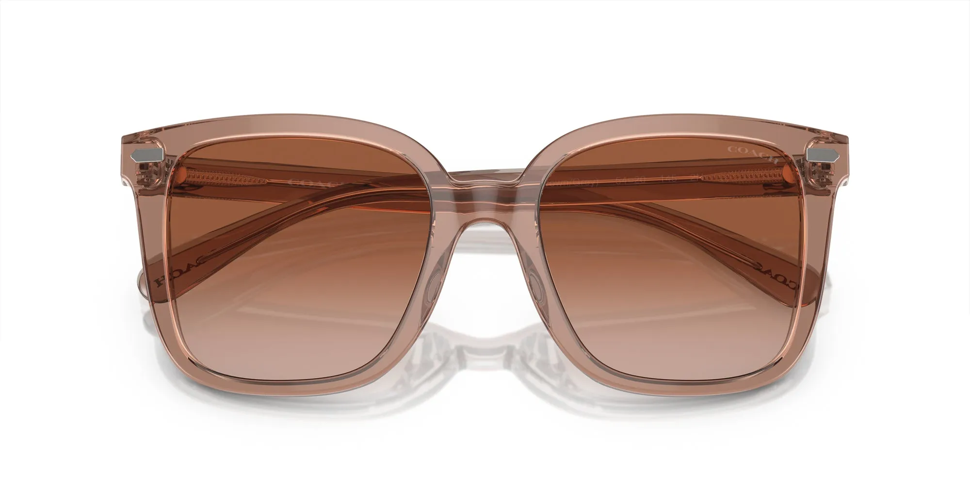 Coach HC8381U CL918 Sunglasses
