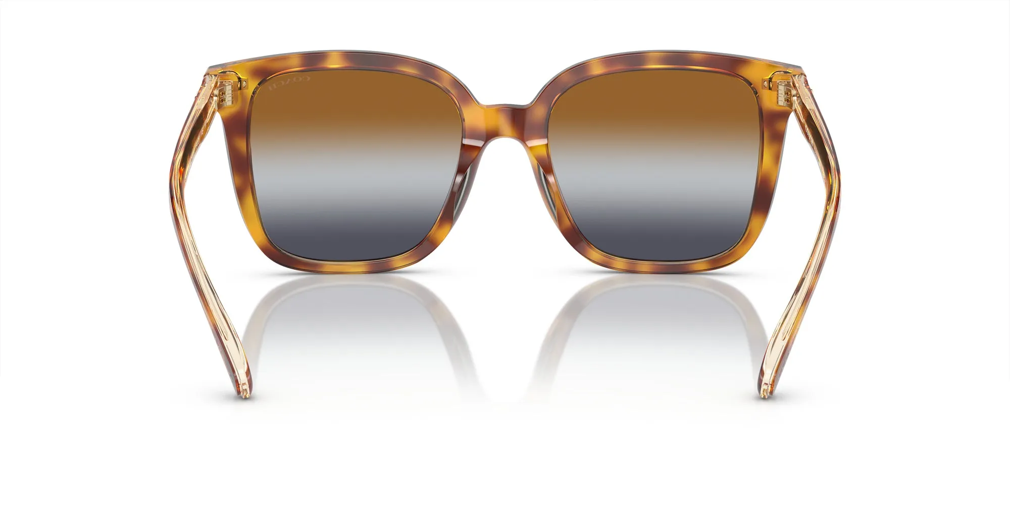 Coach HC8381U CL918 Sunglasses