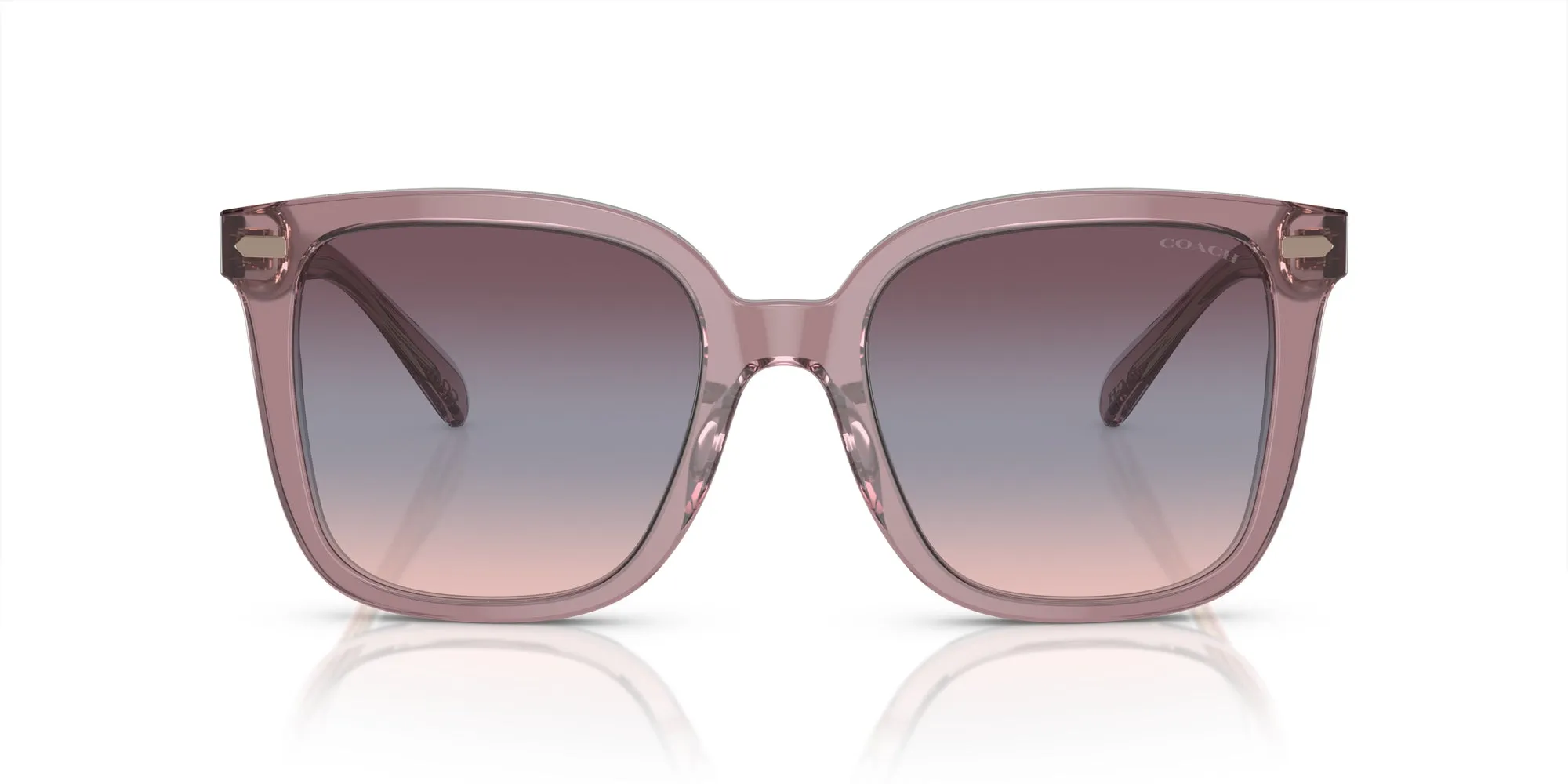 Coach HC8381U CL918 Sunglasses