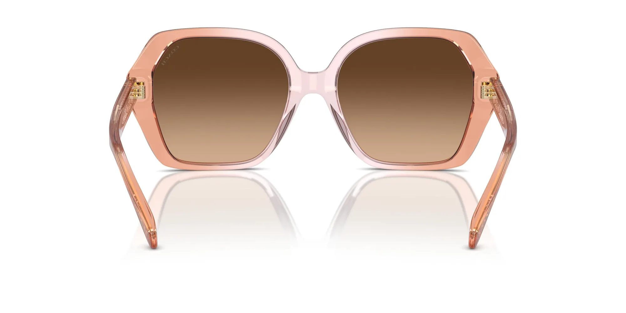 Coach HC8404U CR615 Sunglasses