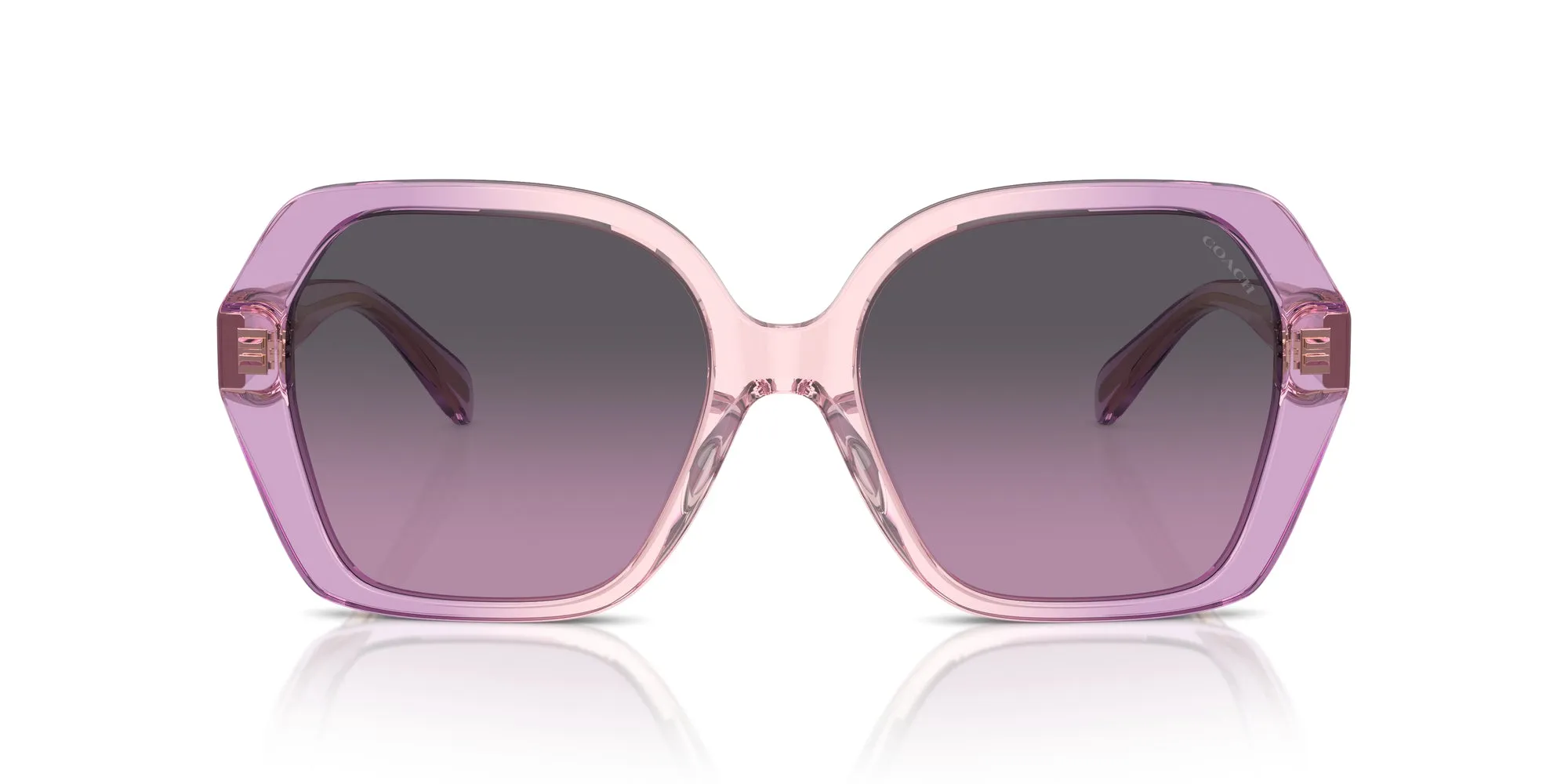 Coach HC8404U CR615 Sunglasses