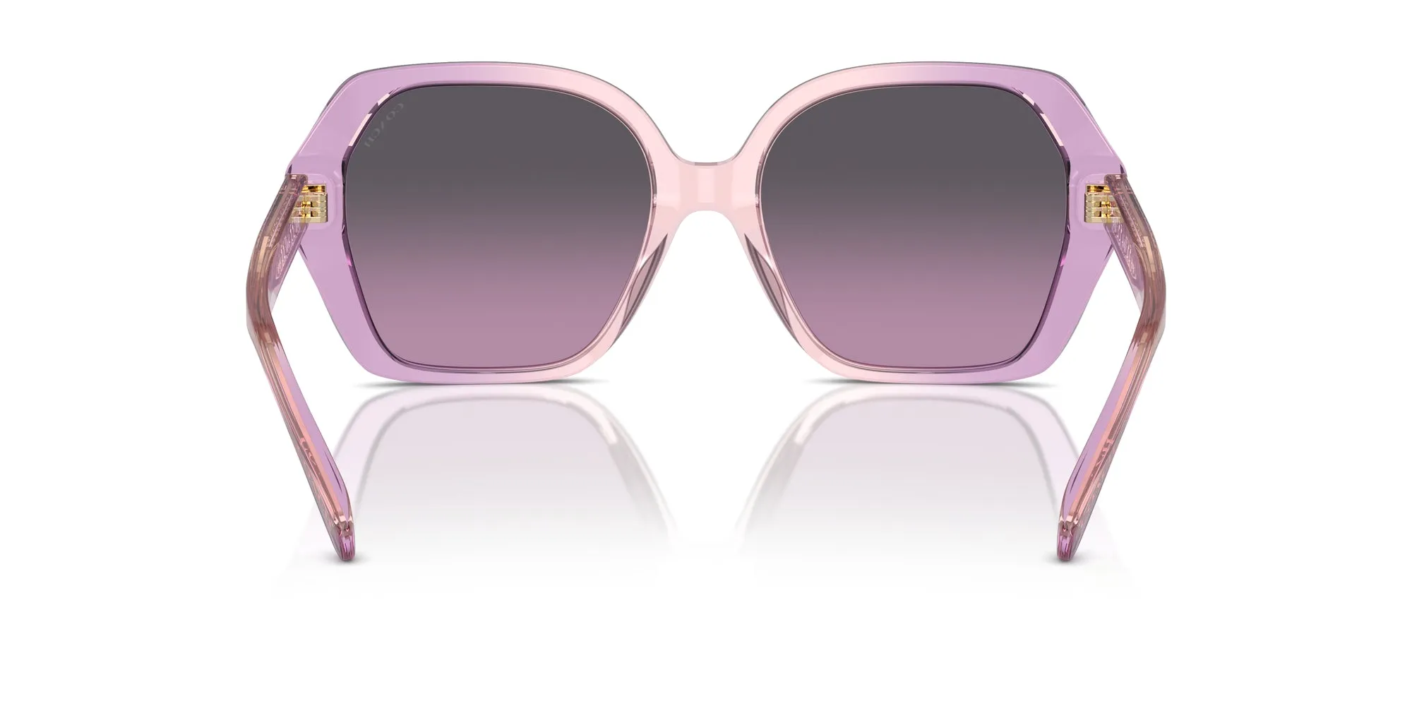 Coach HC8404U CR615 Sunglasses