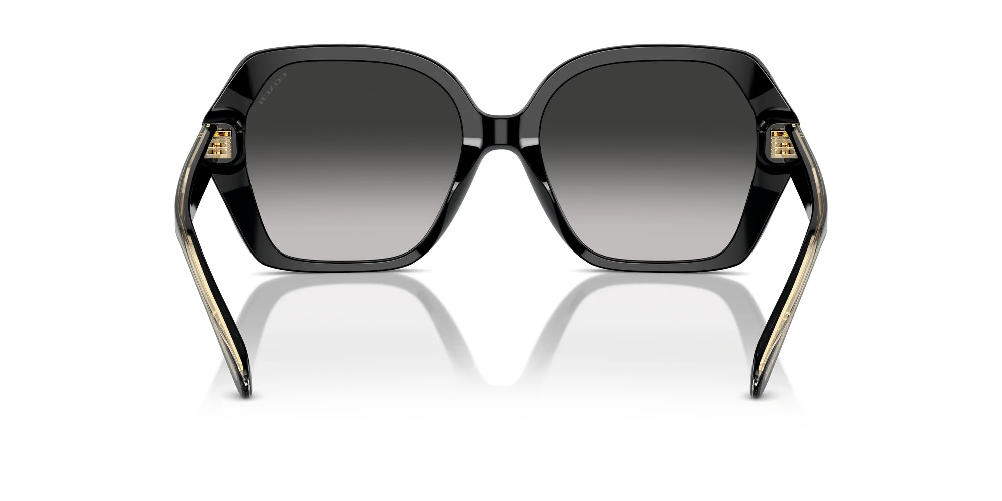 Coach HC8404U CR615 Sunglasses