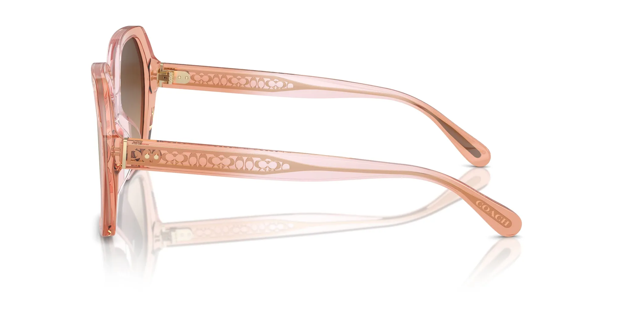 Coach HC8404U CR615 Sunglasses