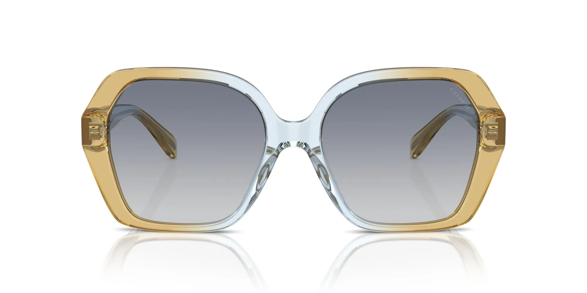 Coach HC8404U CR615 Sunglasses