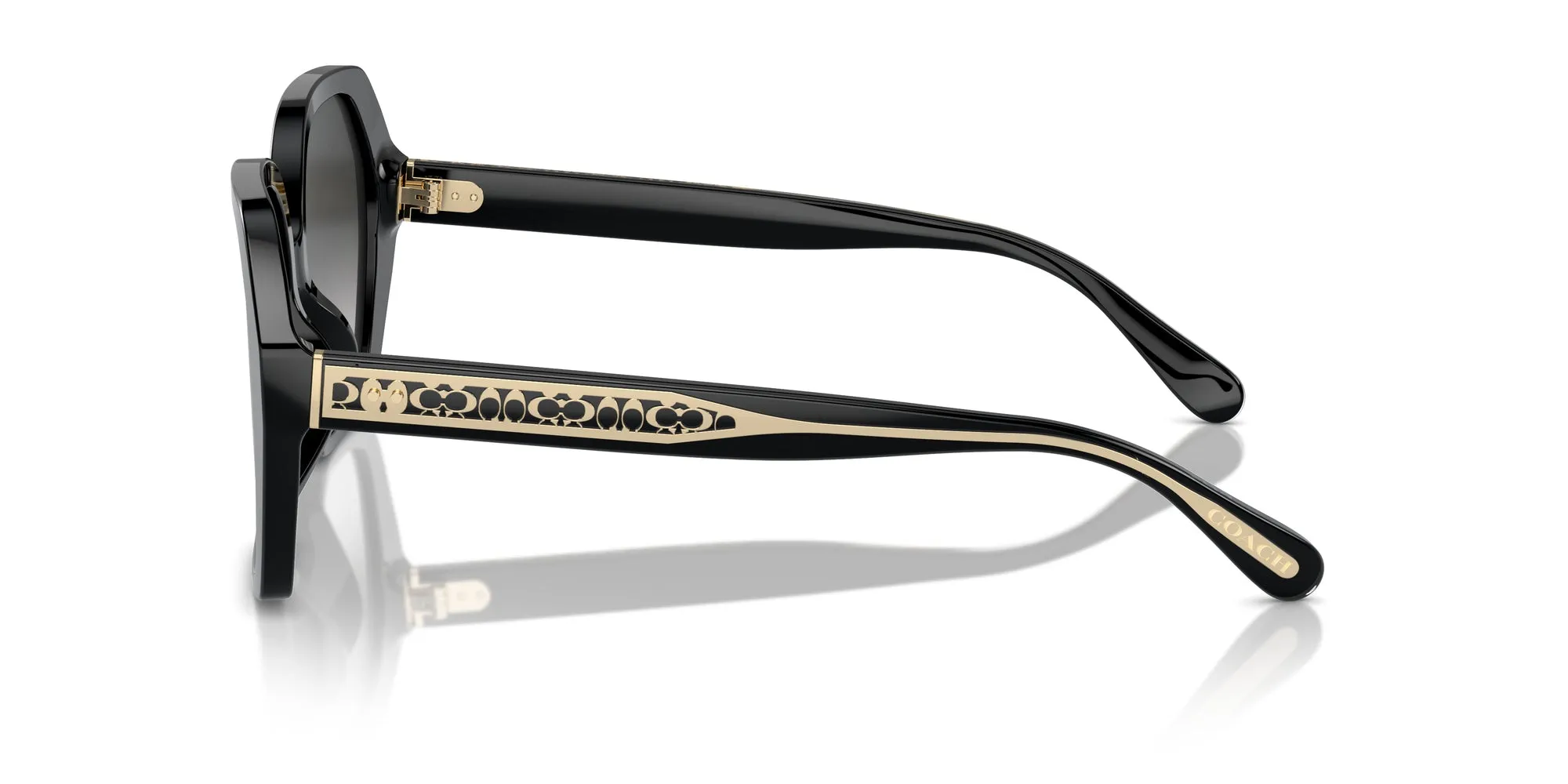 Coach HC8404U CR615 Sunglasses