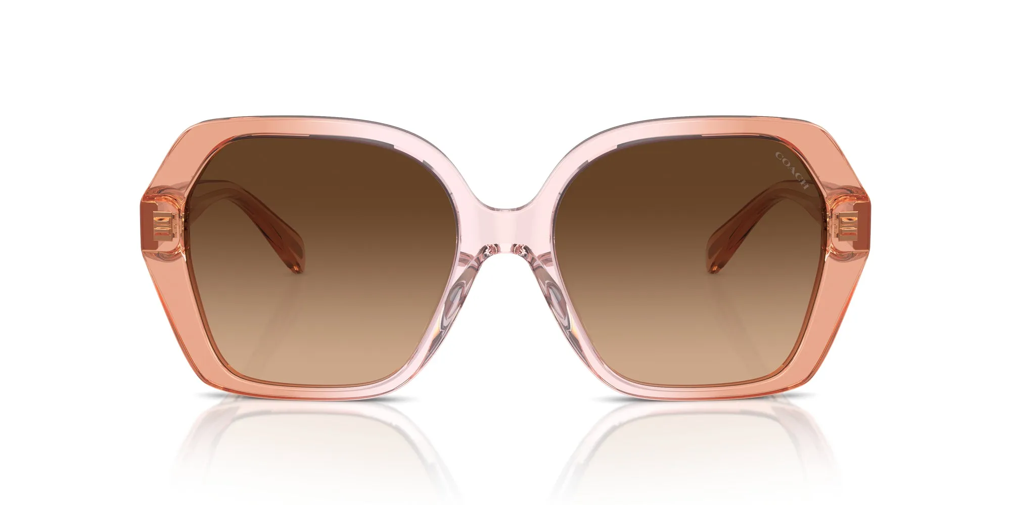 Coach HC8404U CR615 Sunglasses
