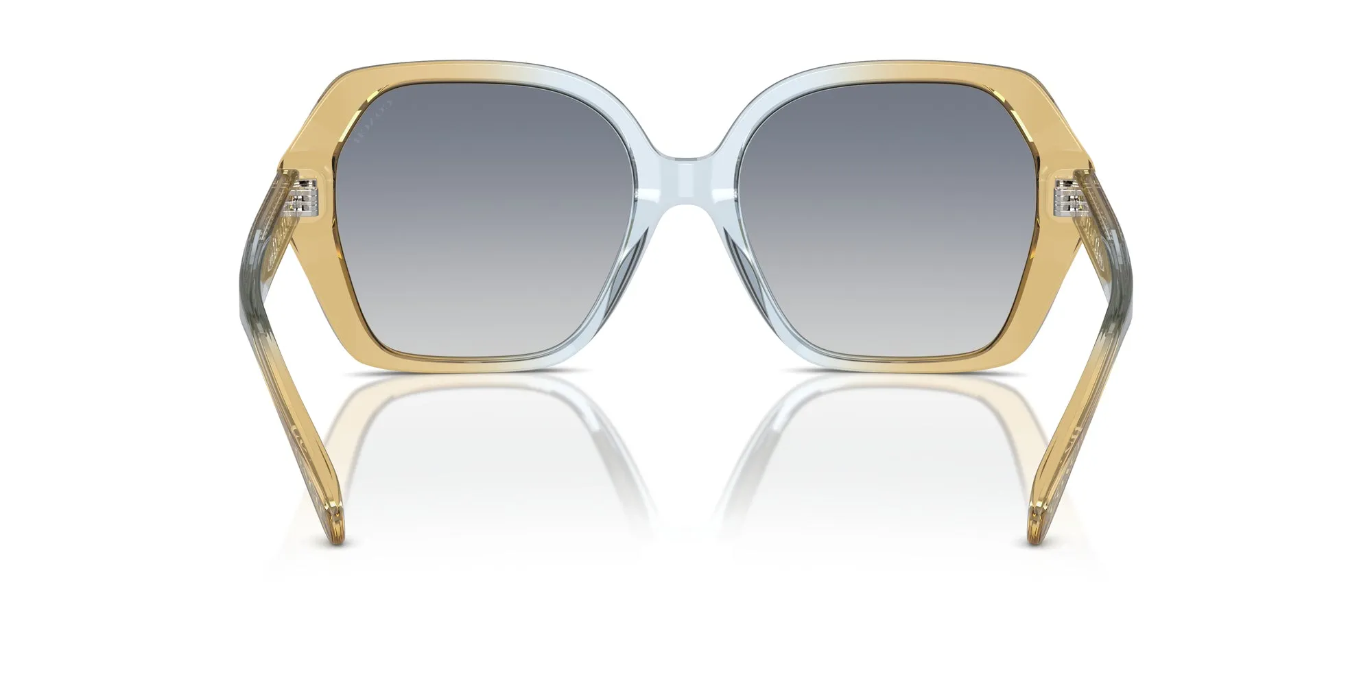 Coach HC8404U CR615 Sunglasses