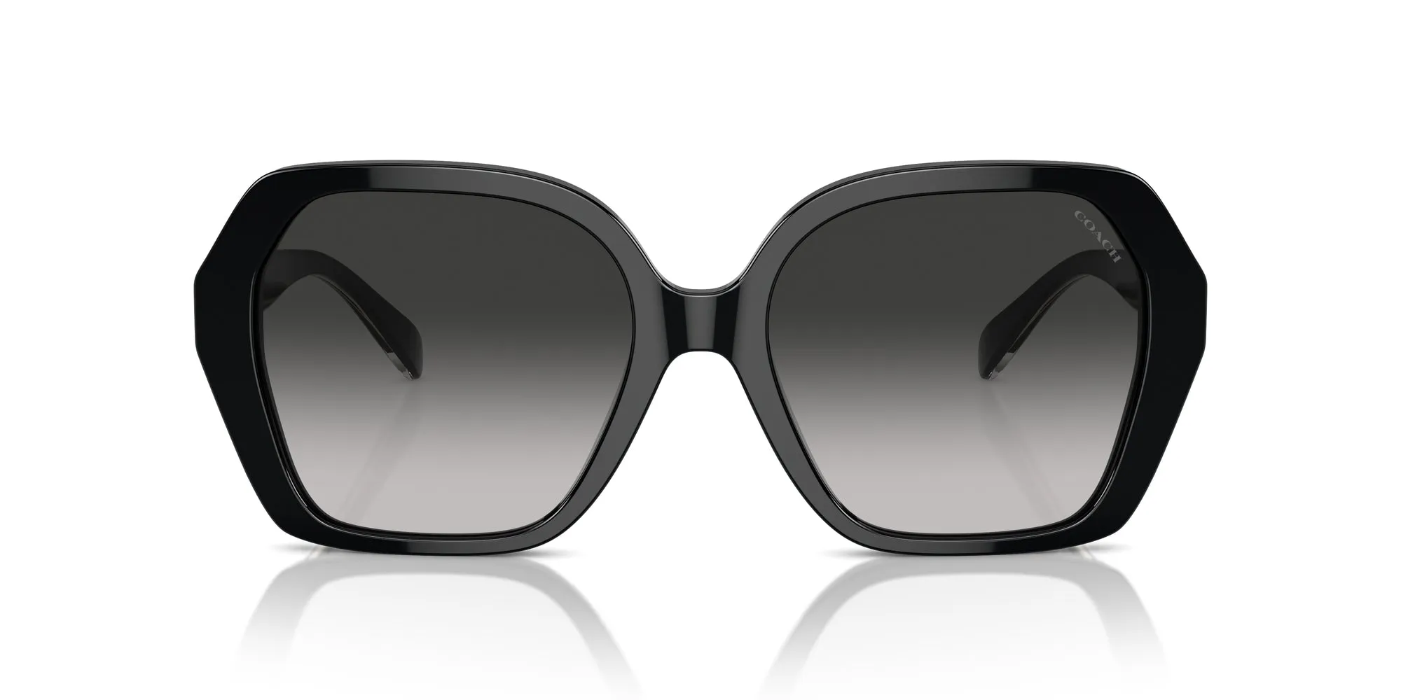 Coach HC8404U CR615 Sunglasses