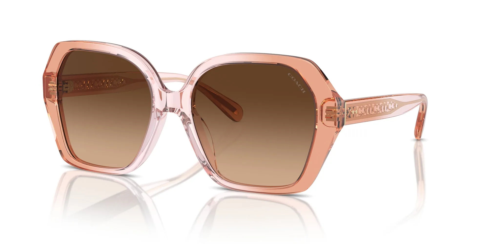 Coach HC8404U CR615 Sunglasses