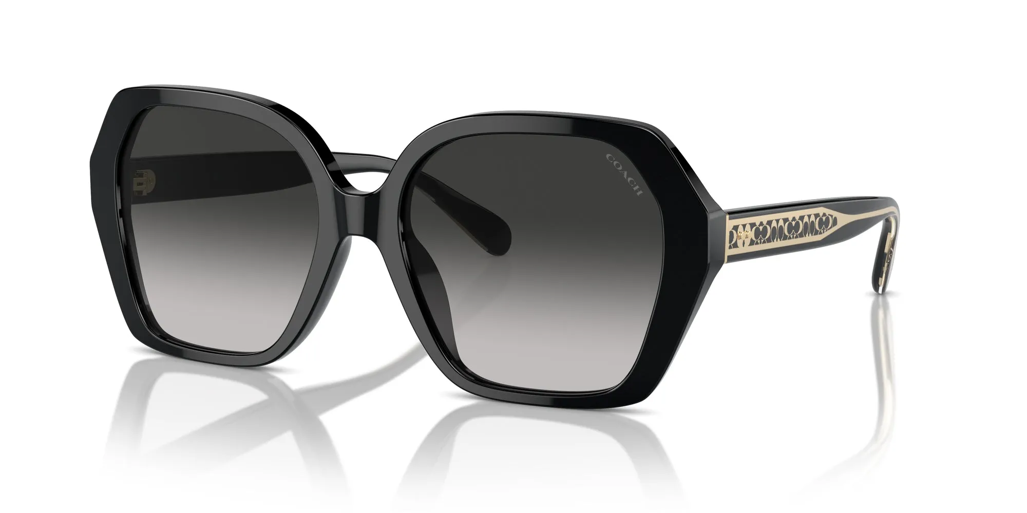 Coach HC8404U CR615 Sunglasses