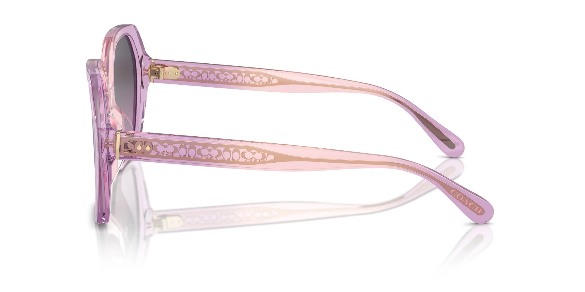 Coach HC8404U CR615 Sunglasses