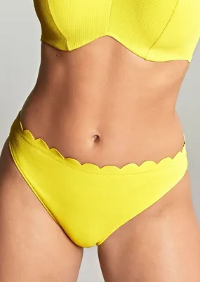 Panache Spirit Classic Bikini Bottom